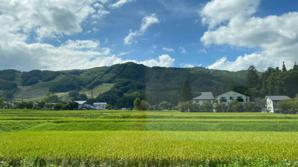 大学生夏休み　遊び　部活の合宿