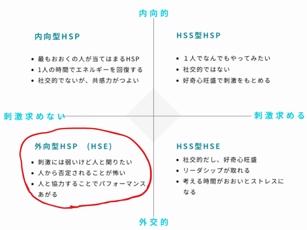 HSP診断 4種類　HSE